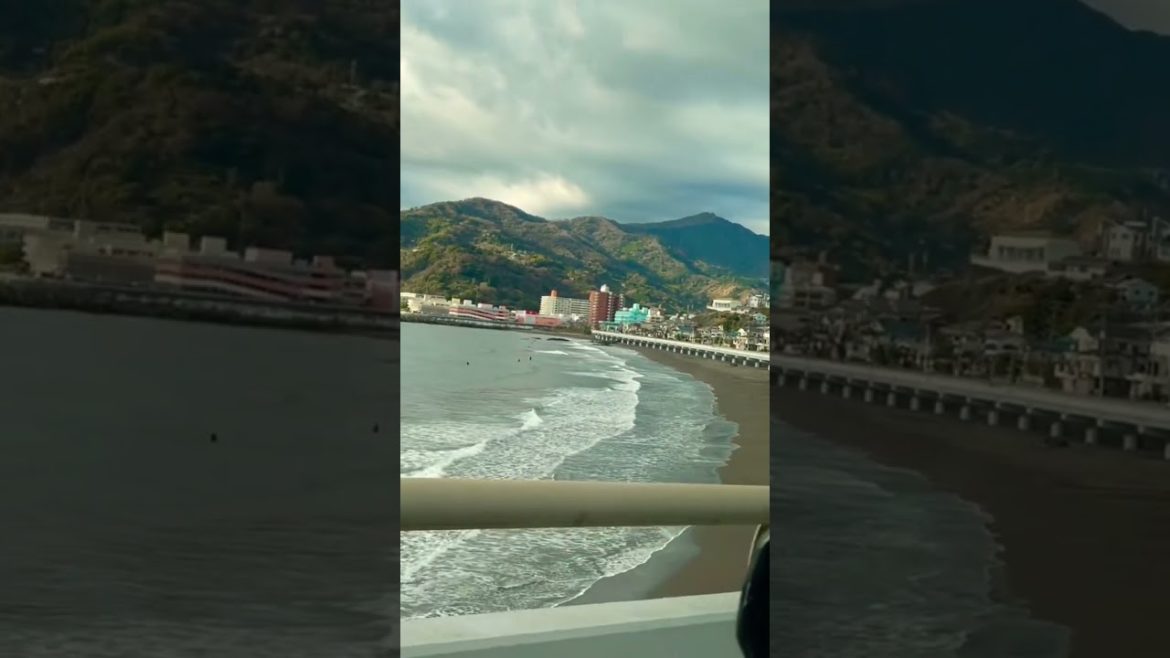 Shizuoka sea beach! #shorts #short #shortvideo #japan #travel #sea #nature #beautiful #gray-shirt
