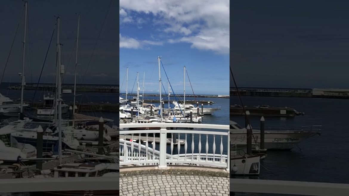 Spa Marina Atami | スパ・マリーナ熱海 | Atami Bay View | 熱海湾 | #shorts