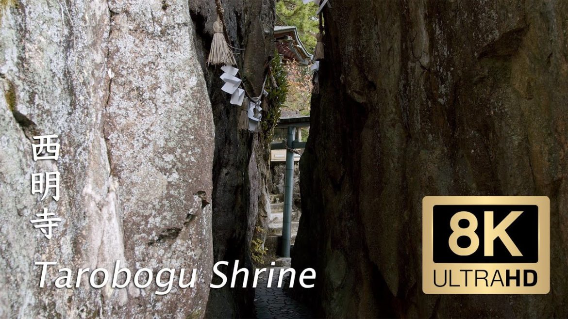 Tarobogu Shrine (Aga-jinja Shrine) – Shiga – 西明寺 – 8K Ultra HD Tarobogu Shrine (Aga-jinja Shrine) - Shiga - 西明寺 - 8K Ultra HD