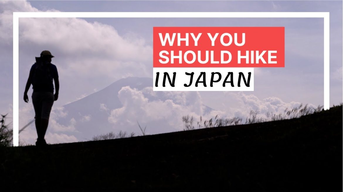 The BEST HIKES in JAPAN'S NATURE (Easy Day Trips from Tokyo)