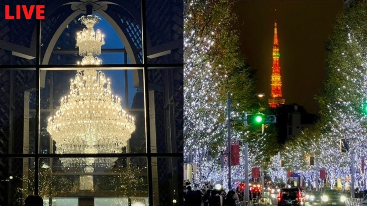 Tokyo Illumination: Ebisu & Roppongi LIVE