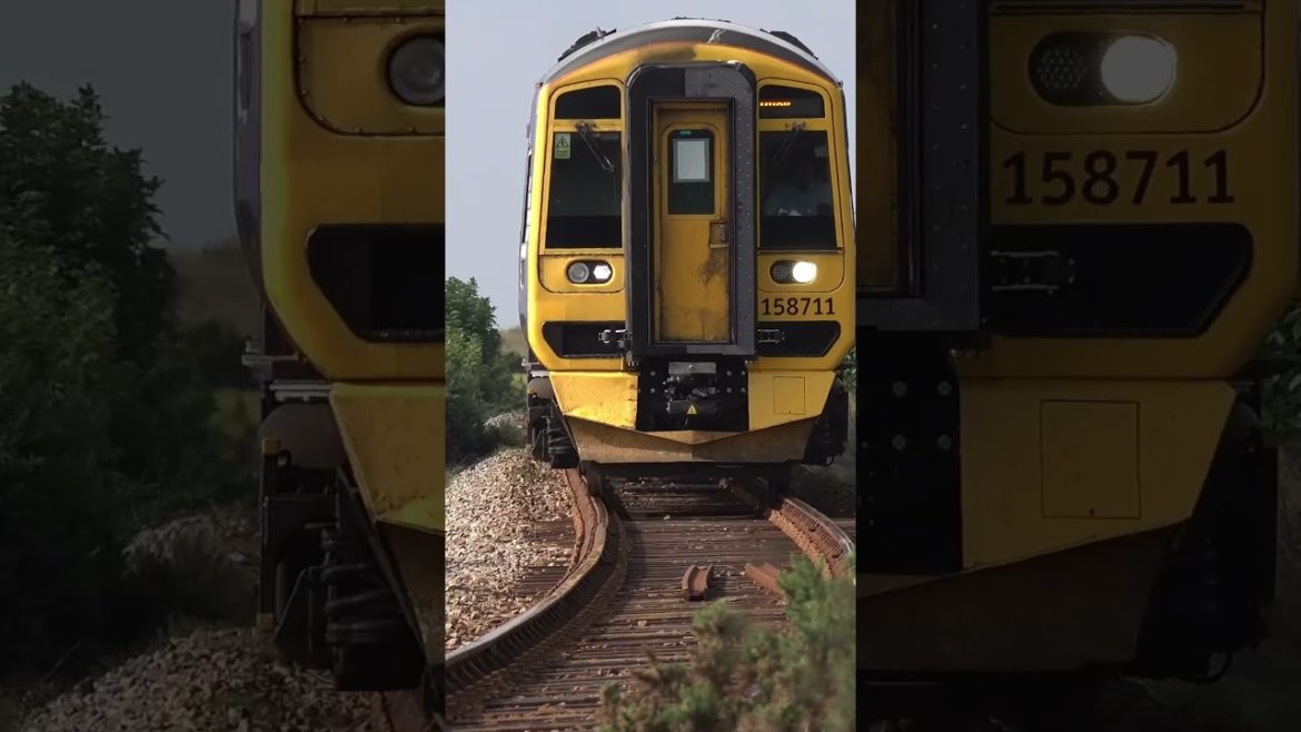 Train on the Far North Line #shorts Train on the Far North Line #shorts