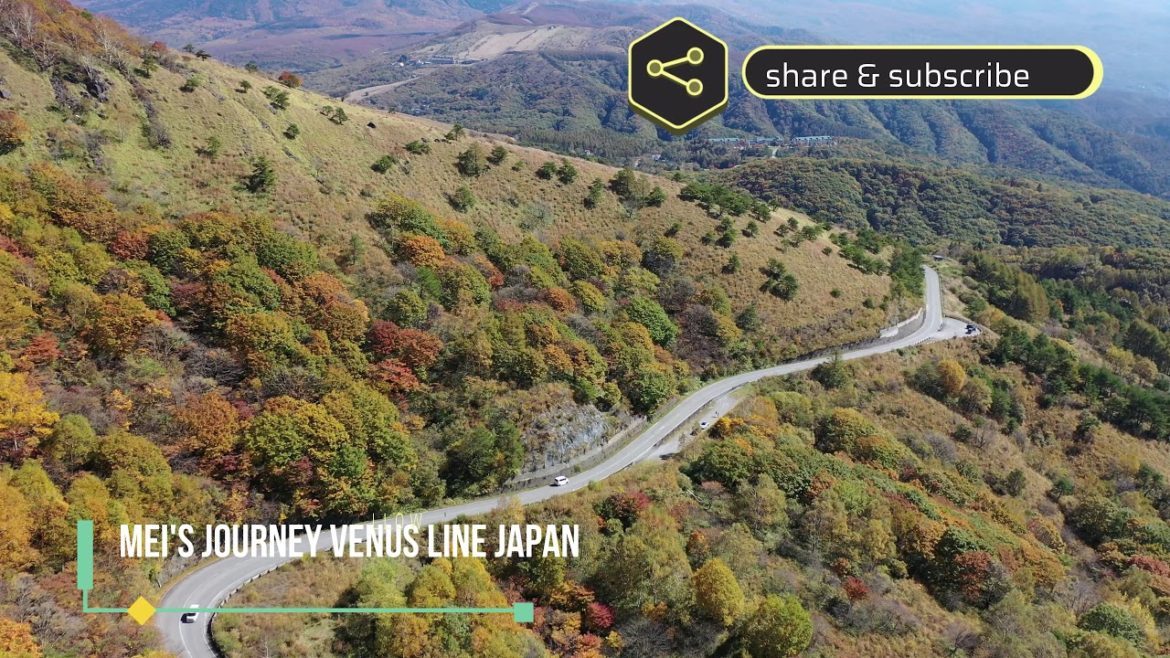 #japan #venusline #DJI Mavic_2_Pro   Japan Beauty IN Autom in 4K