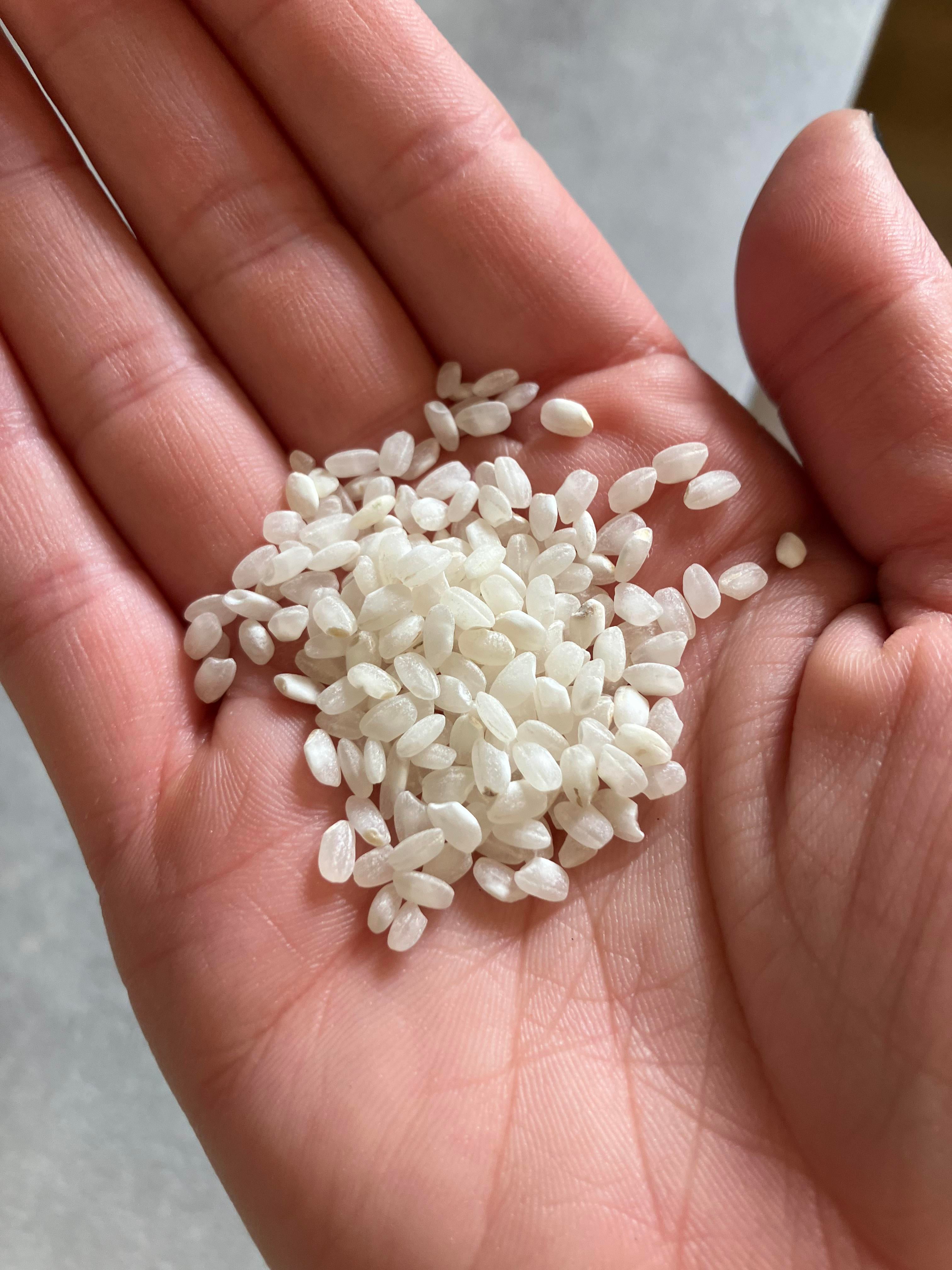 Japanese Rice Basics - Alo Japan