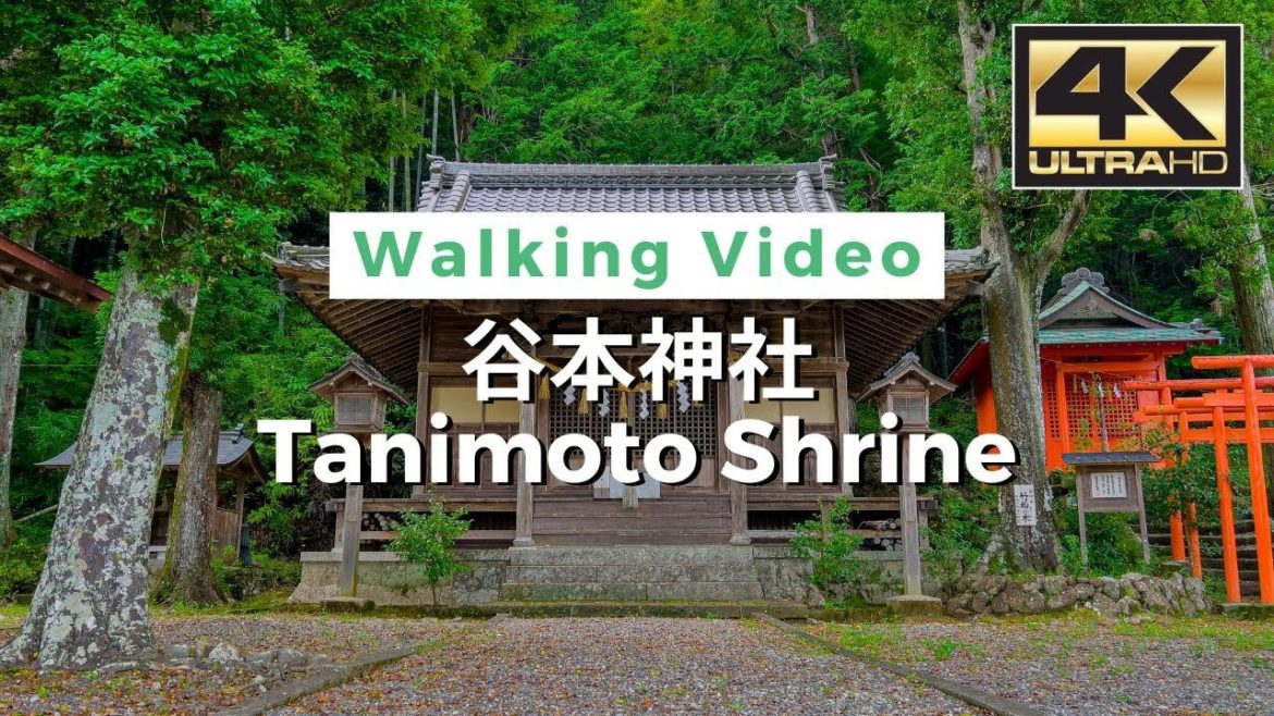 【4K】Tanimoto Shrine - 谷本神社 Walking tour / Japan / DJI Pocket 2