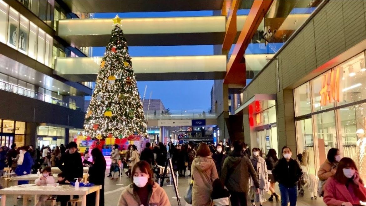 【4K】Tokyo Christmas Lights 2021 - Futakotamagawa