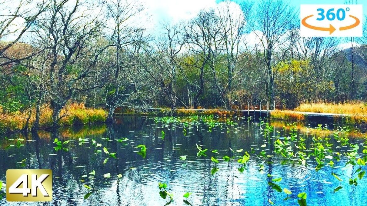 【Hakone 360】"Hakone Shisseikaen" VR Walking Tour Hakone Japan 【Hakone 360】"Hakone Shisseikaen" VR Walking Tour Hakone Japan