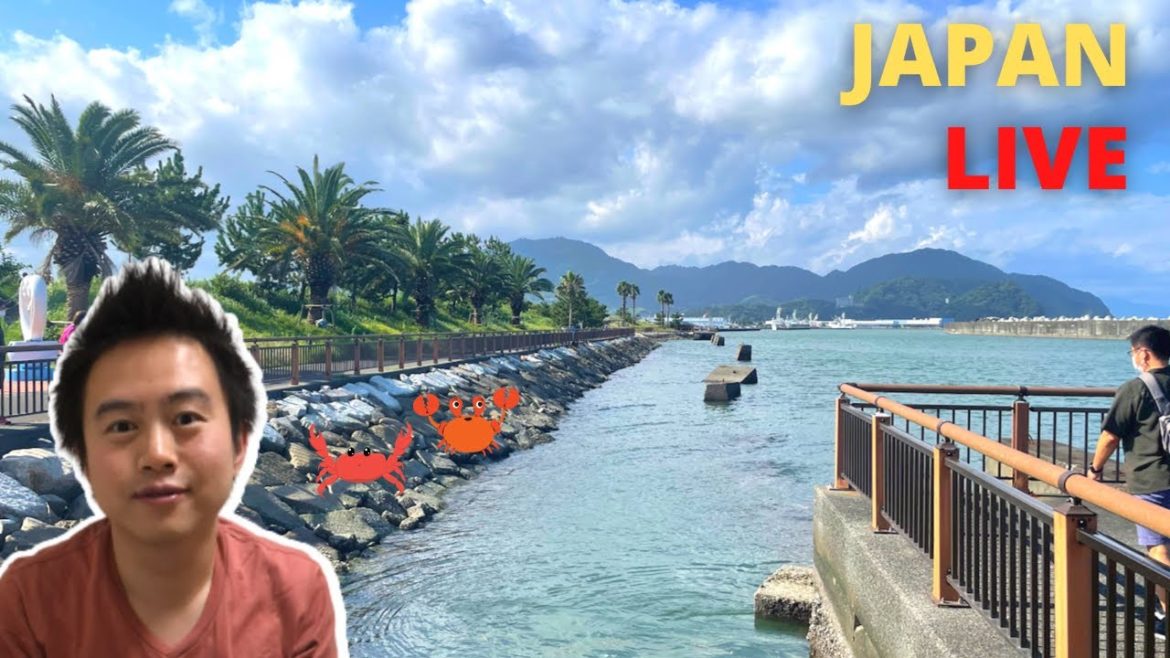 【Shizuoka】Seaside, Crab park, Fishing