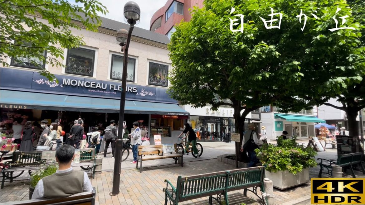 【⁴ᴷ HDR Tokyo】46-minutes walking tour in the luxury residential area Jiyugaoka