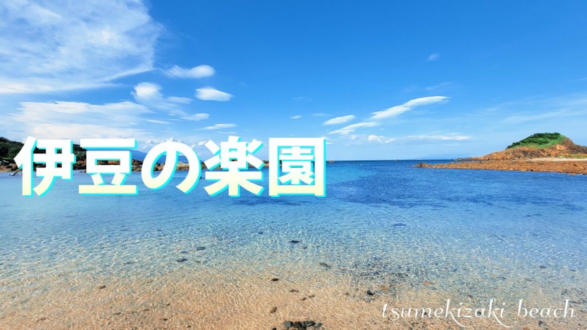【伊豆の楽園】まるで南国気分♪ 透明度最高の海🏖 爪木崎海水浴場 GoPro 【伊豆の楽園】まるで南国気分♪ 透明度最高の海🏖 爪木崎海水浴場 GoPro