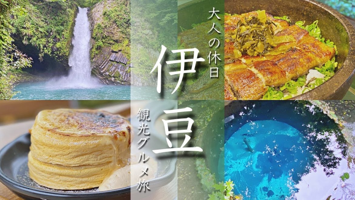 【伊豆旅行vlog】観光グルメ満喫の静岡伊豆ドライブ縦断旅でした！ 浄蓮の滝/修善寺/三島うなぎ/湧水【Japan/Izu】