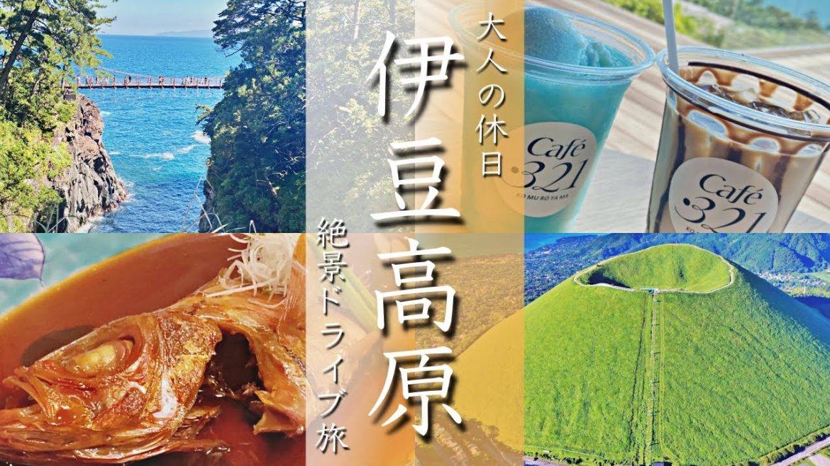 【伊豆高原旅行vlog】観光グルメ満喫のドライブ旅でした！大室山/城ヶ崎/小室山/温泉旅館【静岡/Japan/Izu】