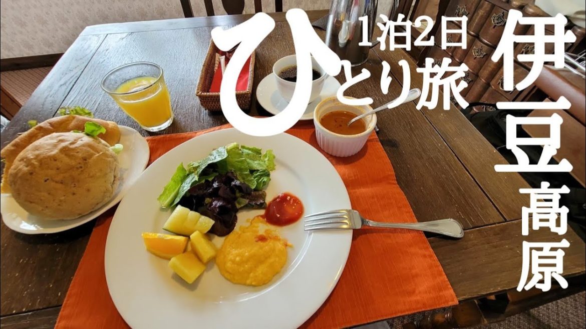 【静岡県 伊豆】１泊２食で2万円台。全室露天風呂付き【英国調アンティークホテルかえで庵】