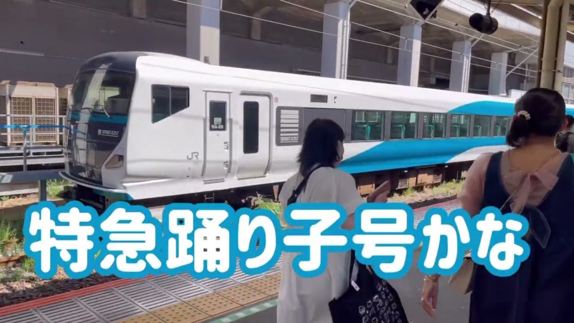 熱海温泉日帰り旅行 電車旅 train trip to Atami Onsen hot spring 東海道線 温泉まんじゅう 温泉饅頭 観光