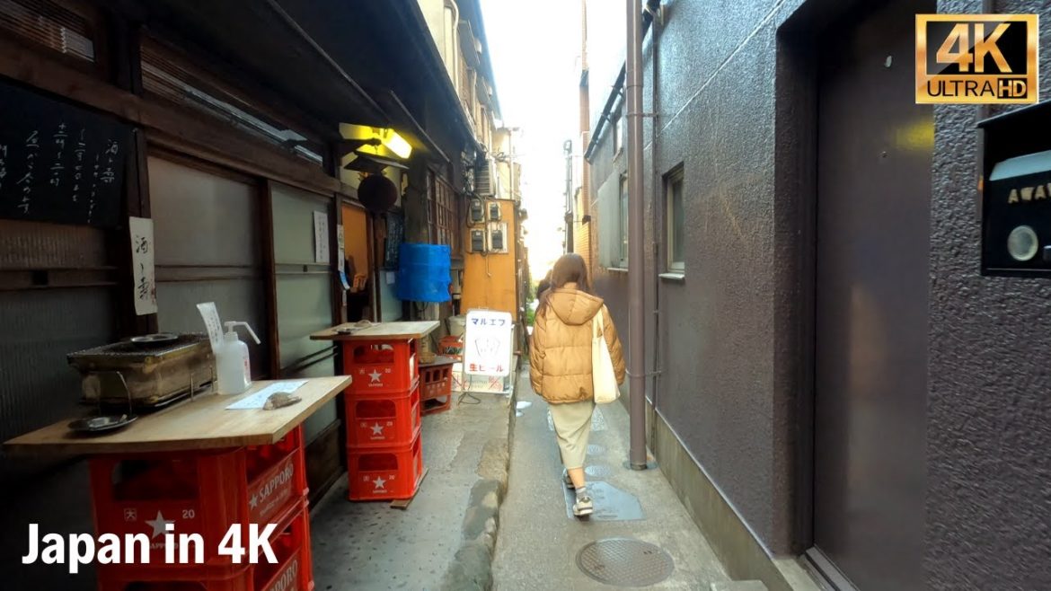 ［4K］Tokyo's Finest Blend of Tradition & Modernity | Walk Japan, 2021 Feb