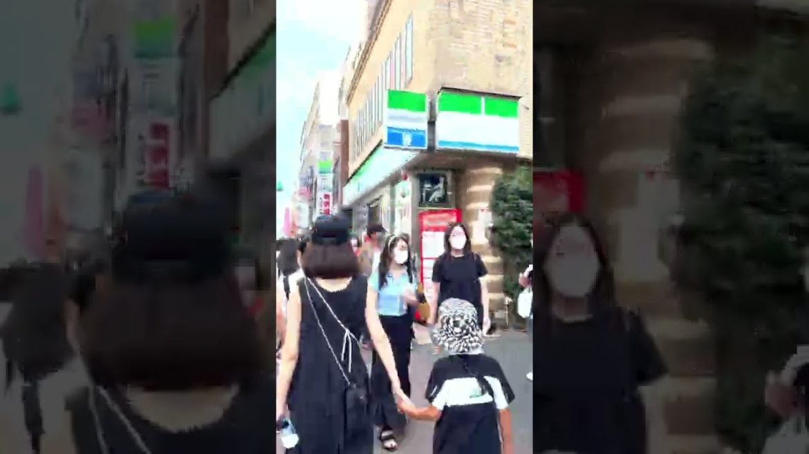 The full story is in the comments section🌸// #walking #shinokubo #tokyo #japan #shorts The full story is in the comments section🌸// #walking #shinokubo #tokyo #japan #shorts