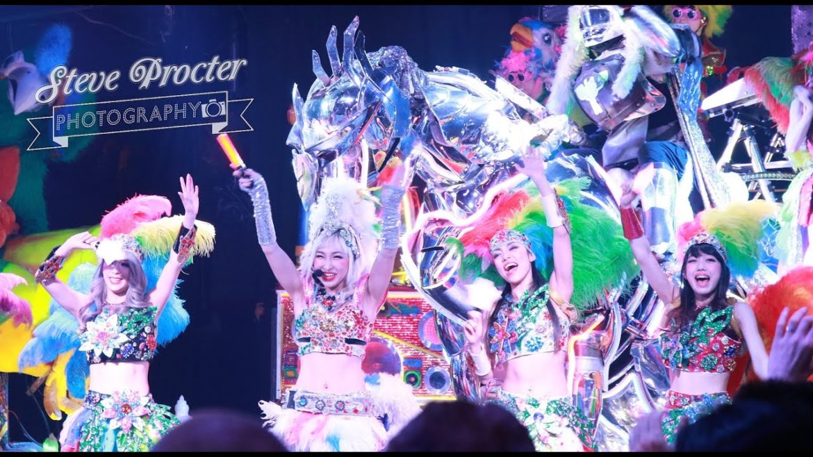 My trip to Japan Pt 02 – Tokyo, Shinjuku (Robot Restaurant) (4K UHD) 日本 My trip to Japan Pt 02 - Tokyo, Shinjuku (Robot Restaurant) (4K UHD) 日本