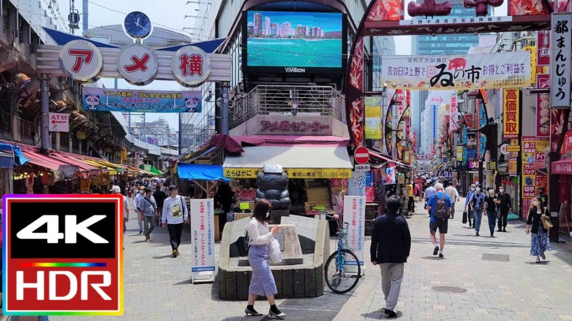 Ameyoko Shopping Street Walking Tour [4K UHD] アメ横 🍬