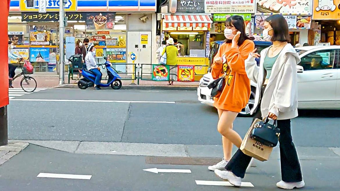 【Shin Okubo Walk in Tokyo】Holiday shopping【4K】
