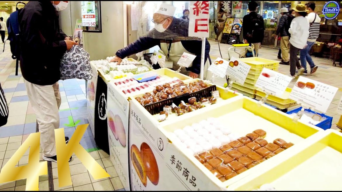 [Aobadai walk in Yokohama] A leisurely cityscape (4K ASMR non-stop 1 hour 07 minutes)