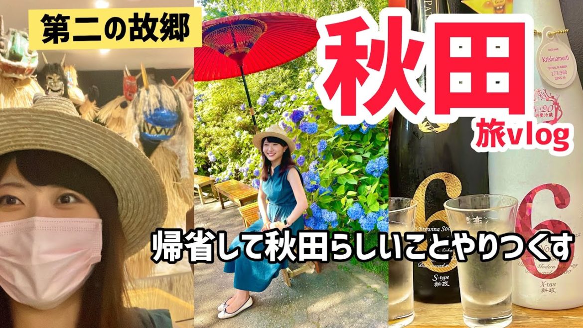 秋田に行くならこれを見て！地元民が案内する最強プラン！秋田美人（祖母）と帰省する夏休みvlog前編【秋田旅行】