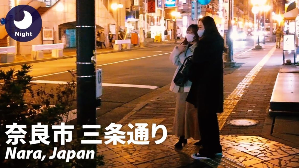 ⁴ᴷ Nara: Nara Station (奈良駅) – Walking Tour (January 18, 2022) ⁴ᴷ Nara: Nara Station (奈良駅) - Walking Tour (January 18, 2022)