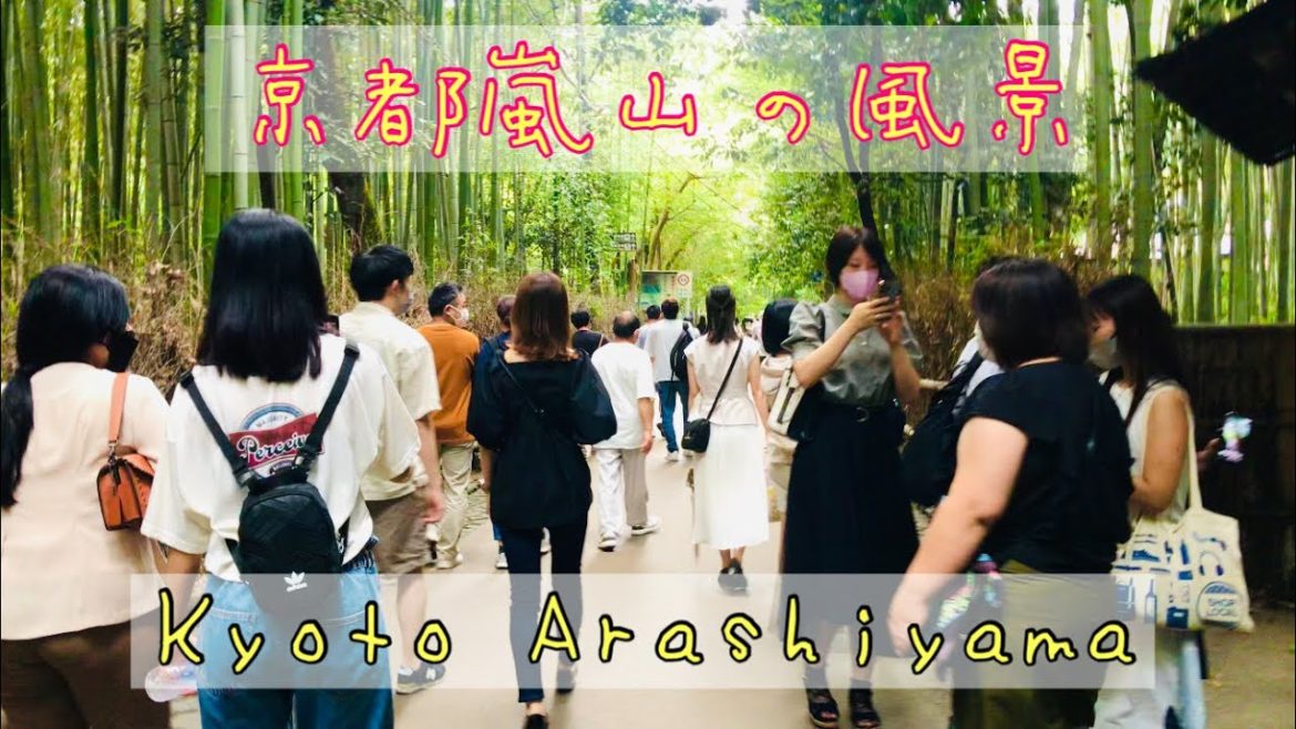 京都嵐山の風景🌿Kyoto Arashiyama 2022年8月27日(土)