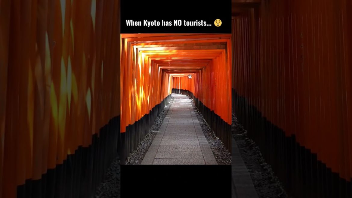 Kyoto looks different without all the tourists😯 #japan #travel