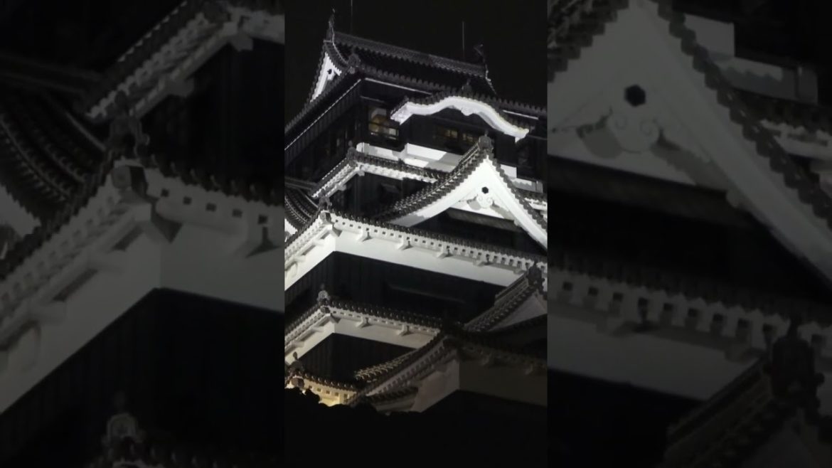 First time sightseeing in Kumamoto Visiting Kumamoto Castle at night #shorts First time sightseeing in Kumamoto Visiting Kumamoto Castle at night #shorts