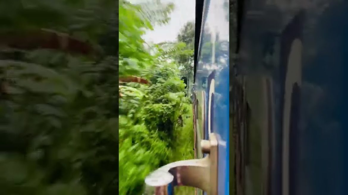 Finally Showing You train journey | Beautiful nature | Railway journey Finally Showing You train journey | Beautiful nature | Railway journey