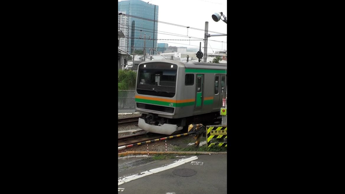 東京都品川区 湘南新宿ライン 相鉄線直通 権現台踏切を 通過する E231系 電車 #shorts 東京都品川区 湘南新宿ライン 相鉄線直通 権現台踏切を 通過する E231系 電車 #shorts