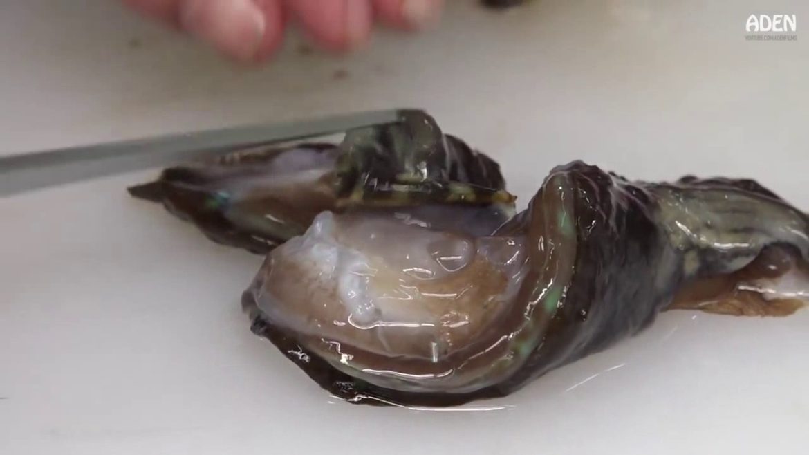 Japan Street food —-The GIANT PARROTFISH SASHIMI Okinawa Japan-Japanese Street Food – Japan Street food ----The GIANT PARROTFISH SASHIMI Okinawa Japan-Japanese Street Food -