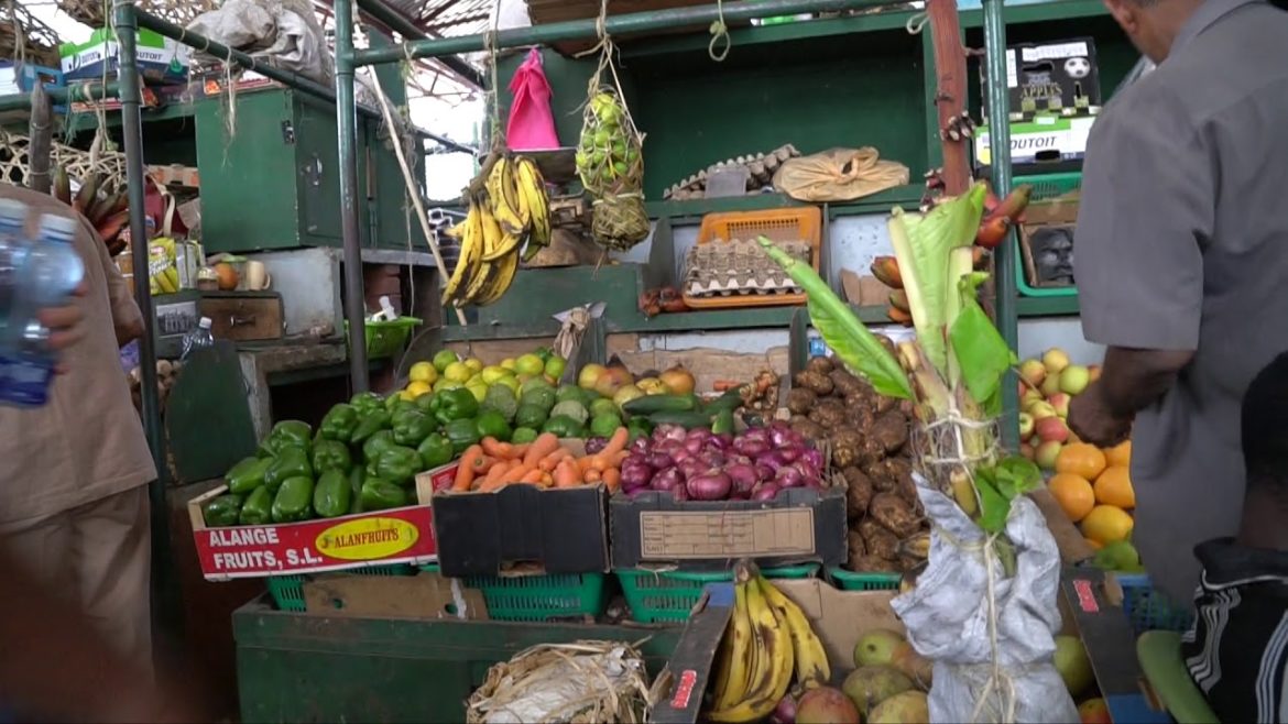 Interview mit Beach Boy (Tour Guide), Mombasa - Kenya | Deutsch
