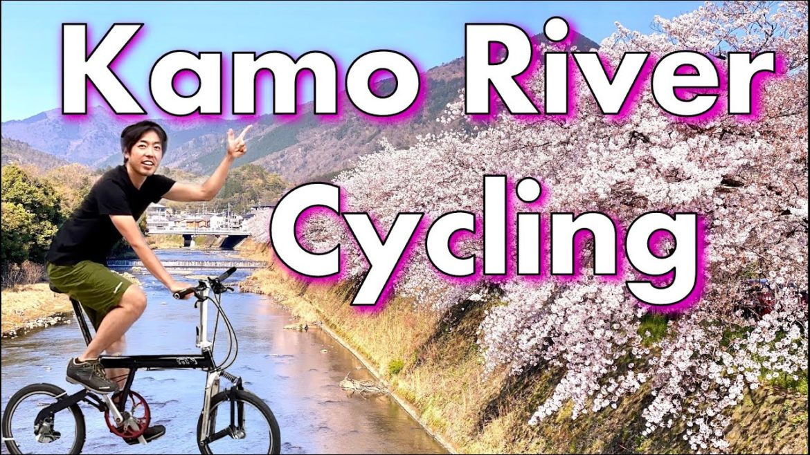 Kyoto’s Best Cycling in Cherry Blossom Season Kyoto’s Best Cycling in Cherry Blossom Season