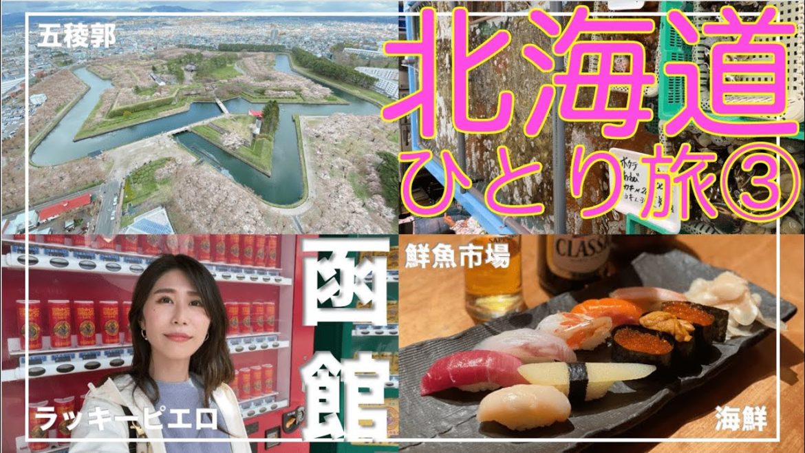 札幌VLOG３｜五稜郭でお花見｜函館朝市どんぶり横丁市場で朝からウニいくら丼｜函館を代表するハンバーガー店、ラッキーピエロ｜新千歳空港でお土産の爆買い｜函館｜旅行｜