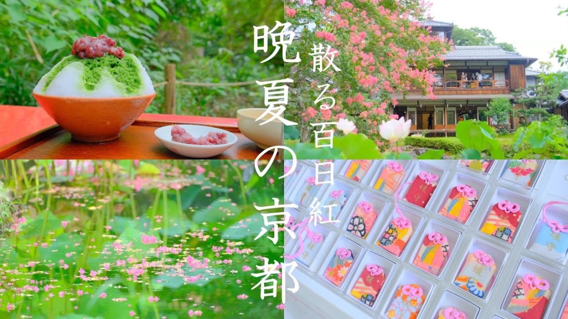 SUB【夏の京都ぶらり散策】旧三井家下鴨別邸の百日紅/下鴨神社/糺の森/河合神社/鴨川デルタ/さるや/かき氷/Shimogamo Shrine(Kyoto,Japan) SUB【夏の京都ぶらり散策】旧三井家下鴨別邸の百日紅/下鴨神社/糺の森/河合神社/鴨川デルタ/さるや/かき氷/Shimogamo Shrine(Kyoto,Japan)