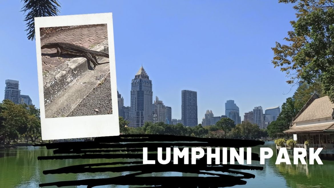 Achtung! Freilaufende Warane in diesem Park || Rennradtour durch den Lumphini Park in Bangkok 🇹🇭 Achtung! Freilaufende Warane in diesem Park || Rennradtour durch den Lumphini Park in Bangkok 🇹🇭