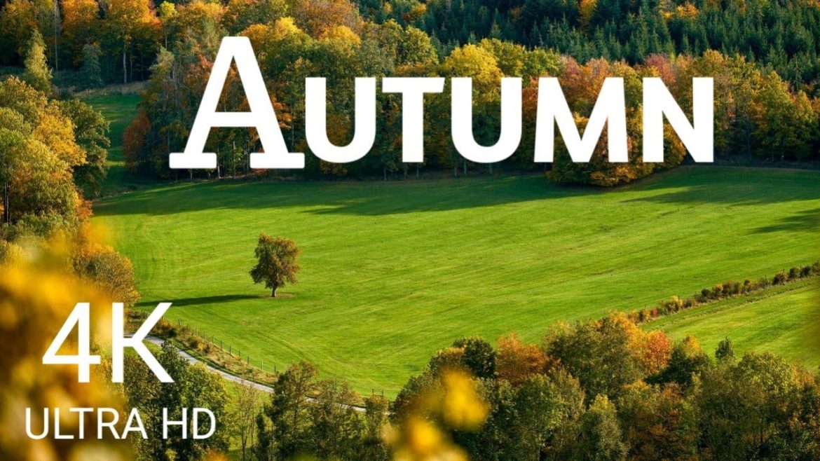 Autumn 4K - Scenic Relaxation Film With Calming Music | Nature Autumn 4K Relaxation Film