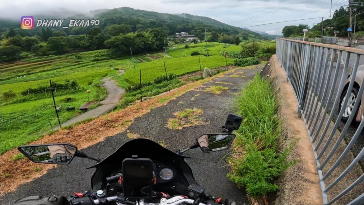 Kembang Desa , Sawah , Pohon Pisang dan Peternakan Sapi di Jepang ...