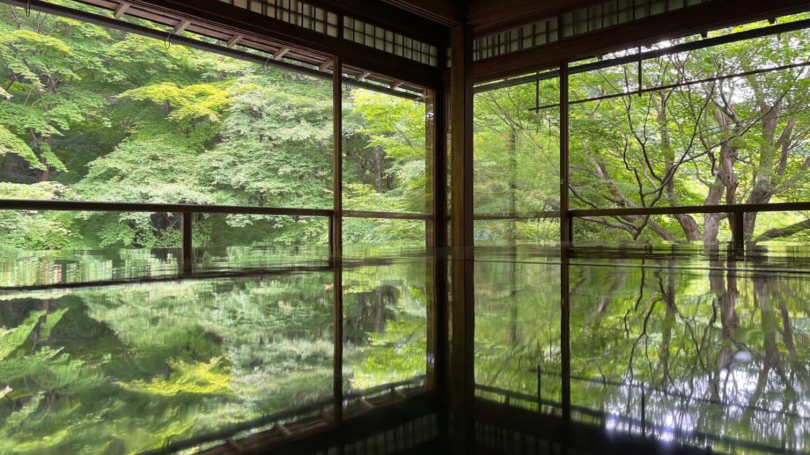 KYOTO JAPAN: The MOST BEAUTIFUL Japanese-style garden 瑠璃光院