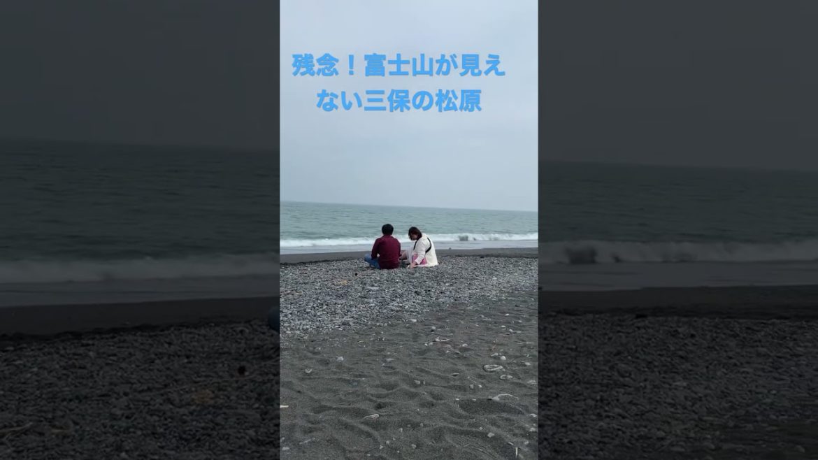 【三保の松原】曇ってて富士山見えなかった😢#shorts #三保の松原 #静岡　#海　#sea #富士山