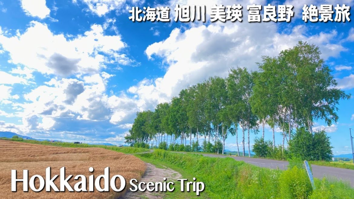 Travel to Biei and Furano in Hokkaido, Japan | superb view cycling, hotel, trip | 美瑛 富良野 北海道旅vol.4
