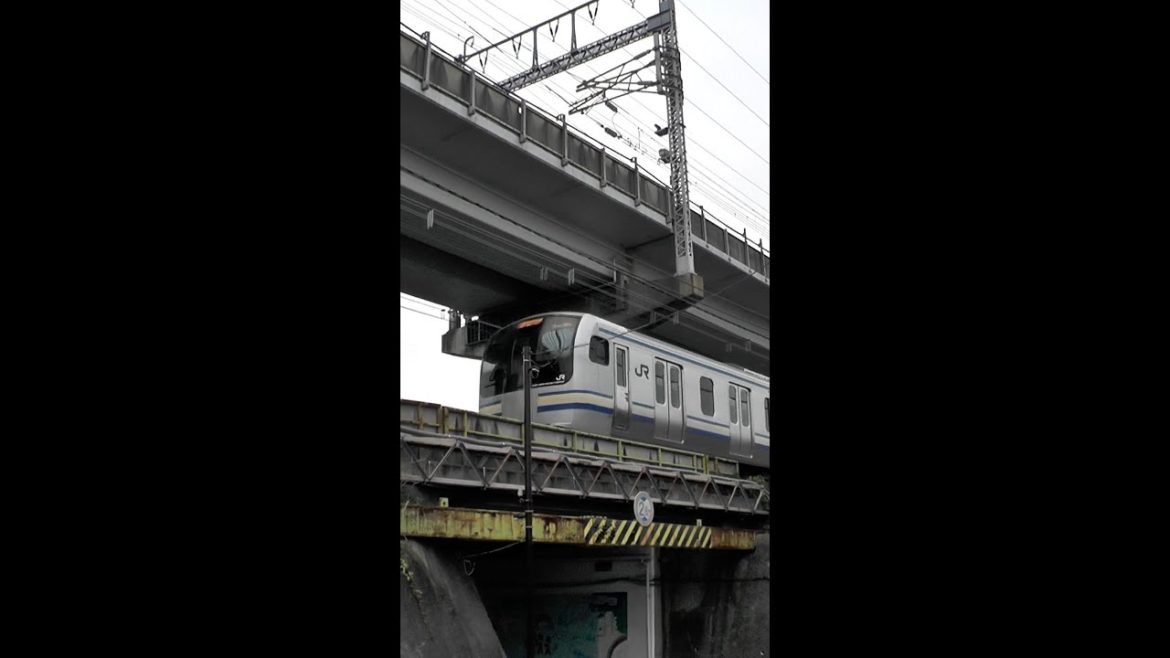 東京都品川区 湘南新宿ライン 相鉄線直通 第1戸越ガードを 通過する E217系 電車 #shorts 東京都品川区 湘南新宿ライン 相鉄線直通 第1戸越ガードを 通過する E217系 電車 #shorts