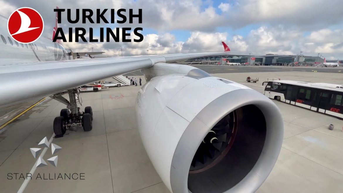 Turkish Airlines Business Class Review | Istanbul - Izmir | Airbus A350-900
