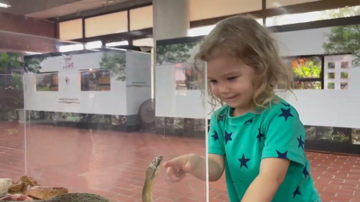 Okinawan Fukugawa Water Fall, Valley of Gongala Caves, and Okinawa World