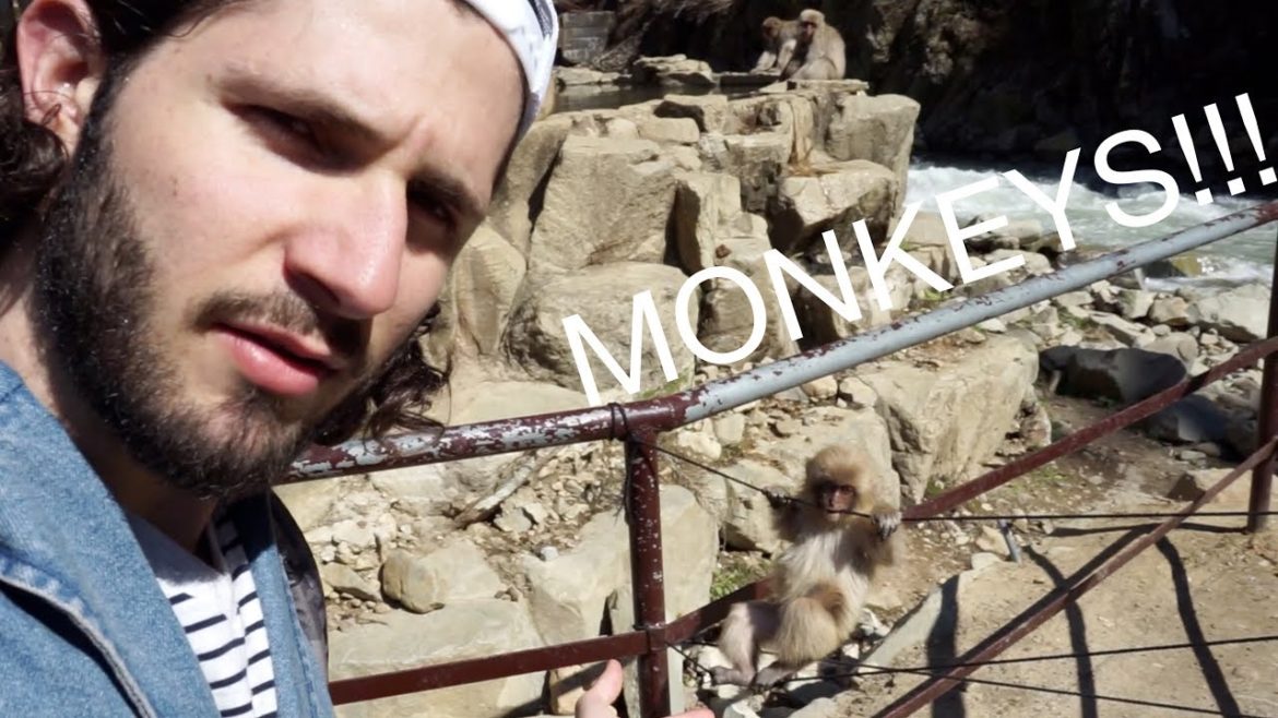 Snow Monkey Park in Japan (special guided tour edition) Snow Monkey Park in Japan (special guided tour edition)