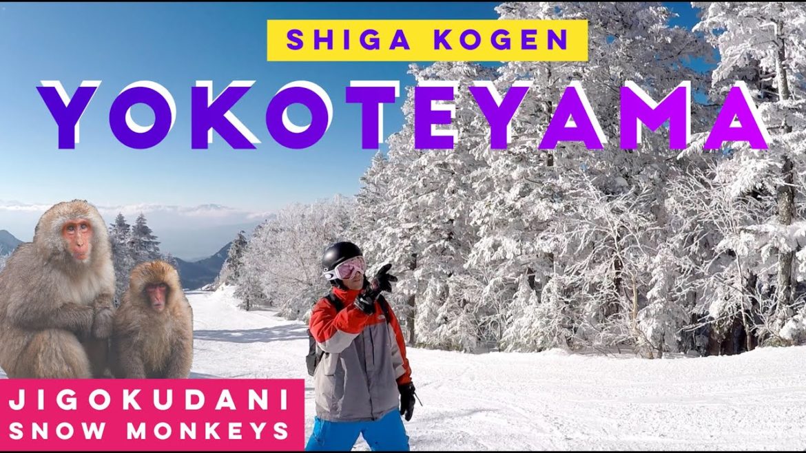 Yokoteyama - Shiga Kogen - Jigokudani Snow Monkeys Park - Yudanaka