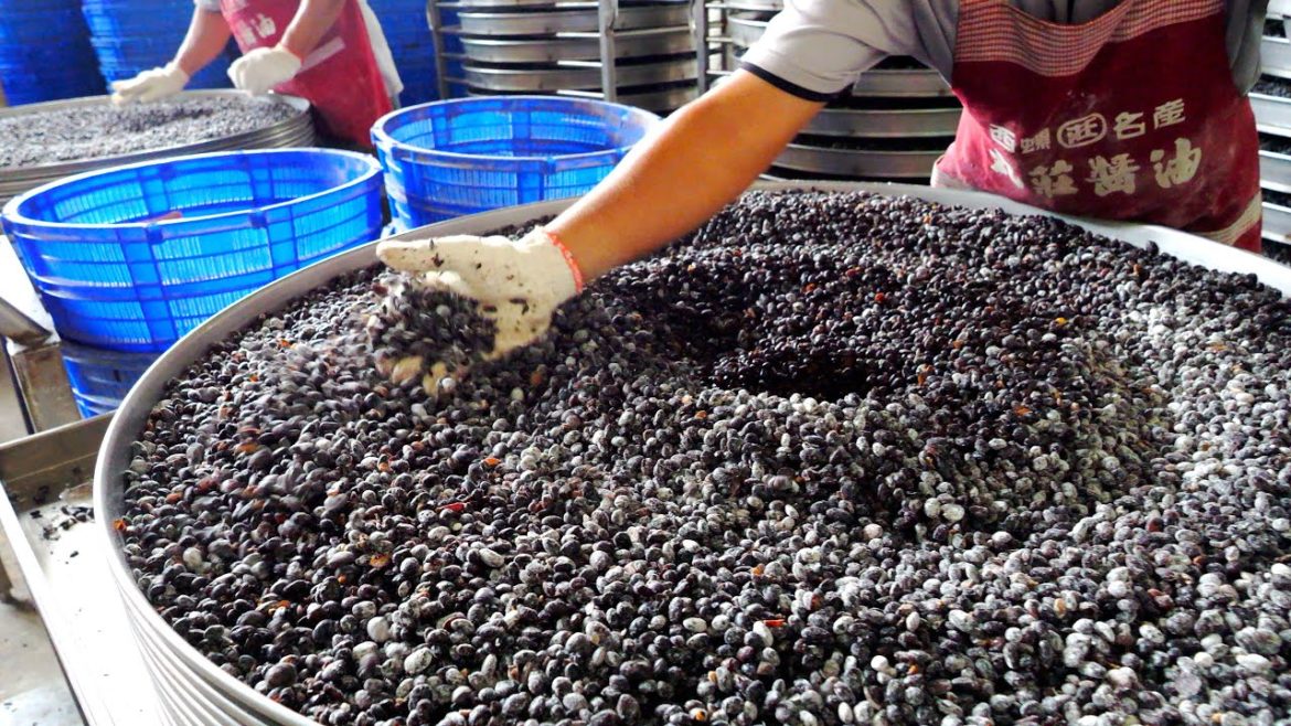 100년이 넘은 전통방식으로 만드는 간장 대량생산 현장 | Traditional Taiwanese Soy Sauce Produce | Taiwanese Street food