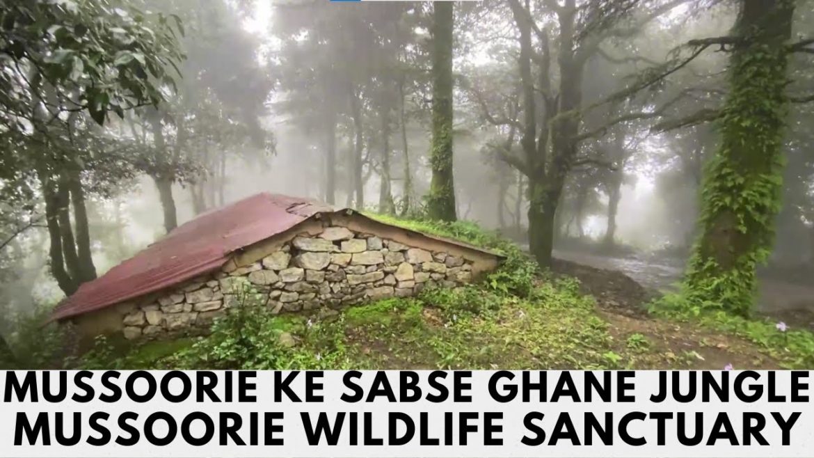 Mussoorie wildlife sanctuary || Mussoorie ka Sabse Ghana aur Foggy Hill
