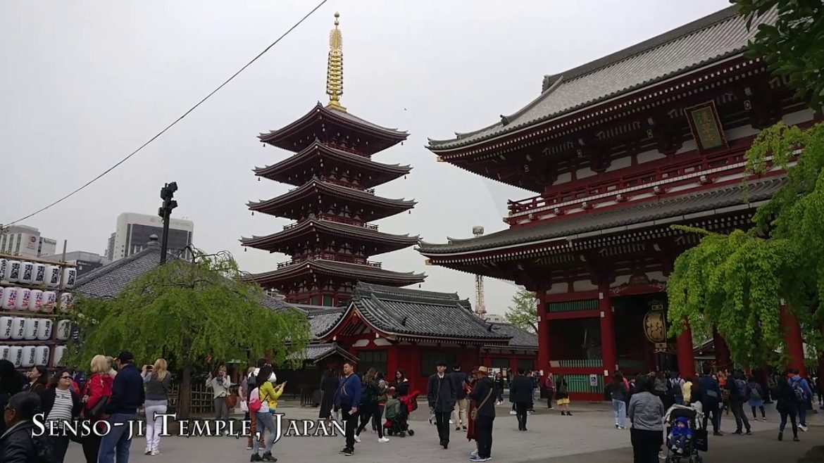 My Trip to Japan and South Korea